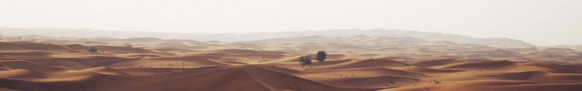 ŷѯ޹˾